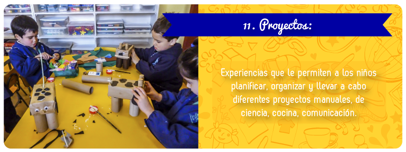 11 proyectos